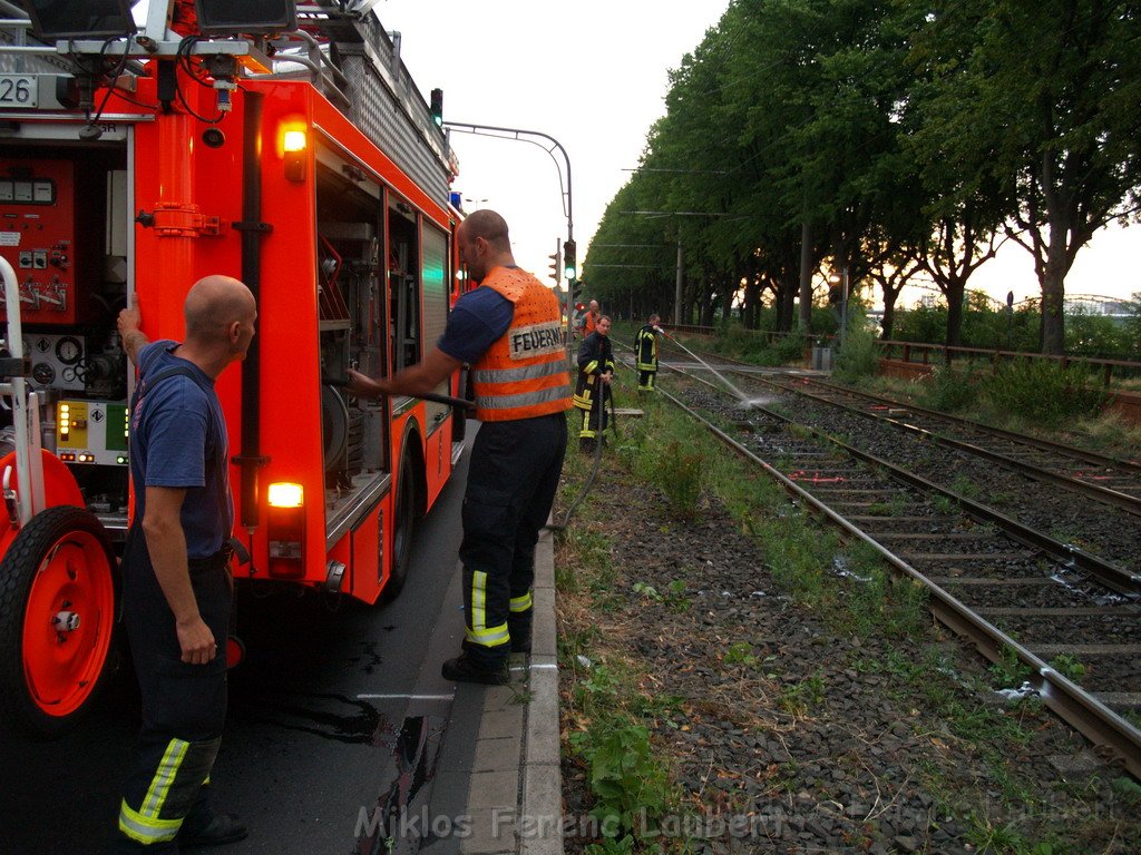Person unter KVB Bahn Koeln Bayenthal Gustav Heinemann Ufer P49.JPG